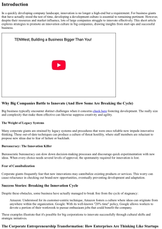 Developing an Innovation Culture: Methods for Corporate Giants