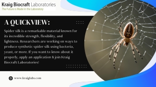 Revolutionary & High-Performance Spider Silk Applications Lab