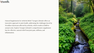 Natural Anti-Inflammatory Support for Arthritis