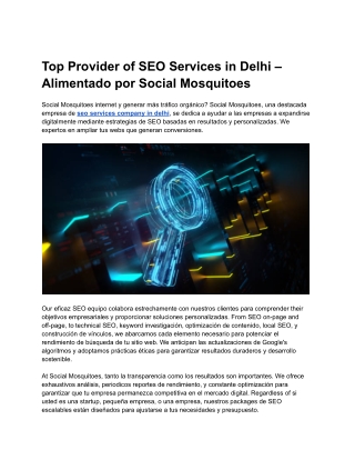 Top Provider of SEO Services in Delhi – Alimentado por Social Mosquitoes