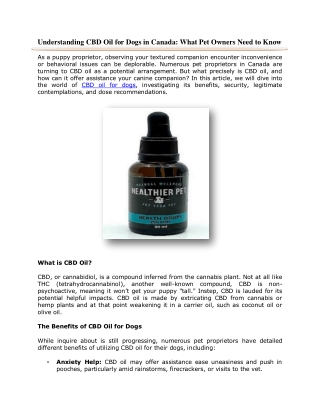 Understanding CBD Oil for Dogs in Canada: What Pet Owners Need to Know