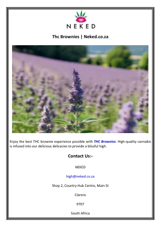 Thc Brownies  Neked.co.za