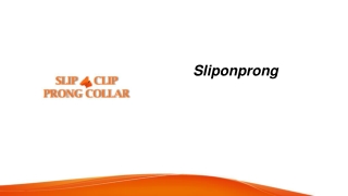 Prong Collar for Dogs – Safe & Effective Training