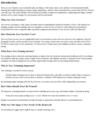 The Benefits of Regular Tree Maintenance with LJR Tree Services