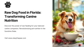 Raw Dog Food in Florida Transforming Canine Nutrition