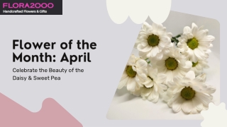 Celebrate April with Daisy and Sweet Pea – Flowers of the Month