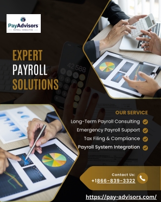 Expert Payroll Solutions | Pay Advisors