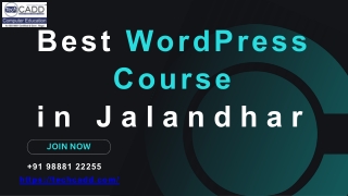 Best WordPress Course in Jalandhar