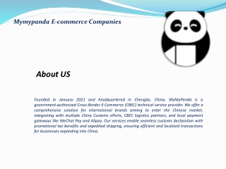 Navigating the Dynamics of China's Cross-Border E-Commerce Market