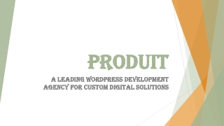 Professional WordPress Development Agency for Scalable Solutions