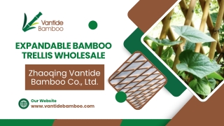 Expandable Bamboo Trellis Wholesale - Vantidebamboo.com