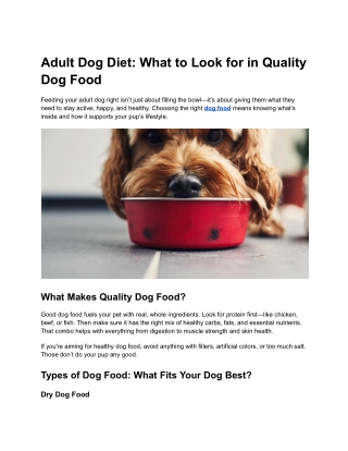 Adult Dog Diet: What to Look for in Quality Dog Food