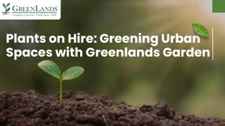 Plants on Hire Mumbai’s Premier Green Solution by Greenlands Garden
