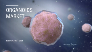 Organoids Market Size and Forecast (2020 - 2035)