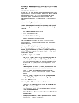 Why Your Business Needs a DPO Service Provider in 2025