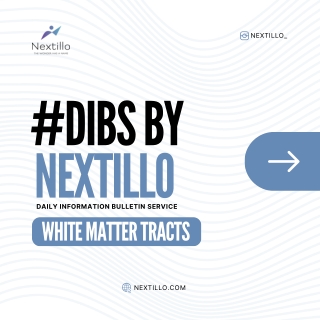 White Matter Tracts | High-Yield Insights for FMGE | DIBS by Nextillo