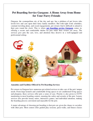 Pet Boarding Service Gurgaon A Home Away from Home for Your Furry Friends