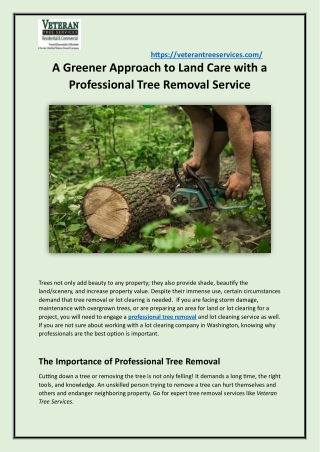 A Greener Approach to Land Care with a Professional Tree Removal Service
