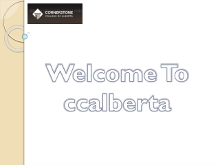 Boost Your Career with Digital Marketing Skills