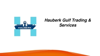 Slewing Bearing In Uae  Hauberkglobal.com