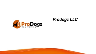 Dog Training Medford Oregon  Dog-ter.com