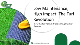 Turf Adelaide--The Turf Farm