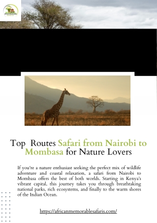 Safari from Nairobi to Mombasa: Travel Routes, Parks & Itineraries