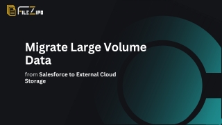 Migrate Large Volume of Data from Salesforce to External Storage Without Impacti