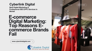 E-commerce digital marketing services in mohali. Cyberlink Digital