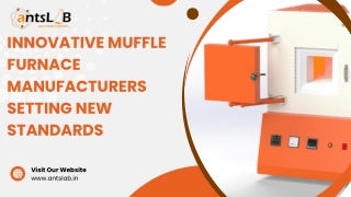 Innovative Muffle Furnace Manufacturers Setting New Standards