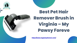 Best Pet Hair Remover Brush in Virginia – My Pawsy Foreve