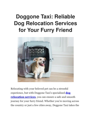 Trusted Dog Relocation Services by Dog Gone Taxi