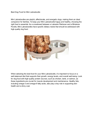 Best Dog Food for Mini Labradoodle