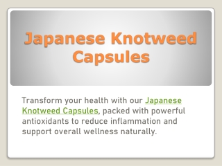 Japanese Knotweed Capsules