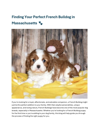 Hillside Forever Paws