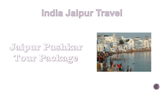 Jaipur Pushkar Tour Package (5)
