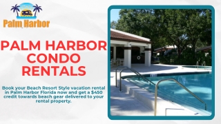 Palm Harbor Florida vacation homes