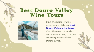 Best Douro Valley Wine Tours