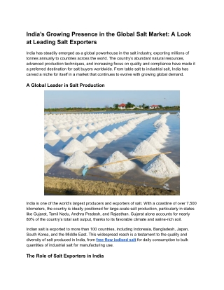 India’s Growing Presence in the Global Salt Market_ A Look at Leading Salt Exporters (1)