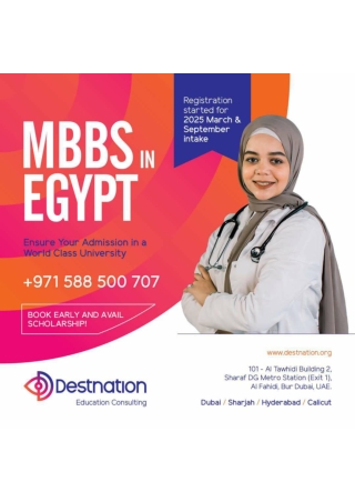 study mbbs in egypt (abroad )