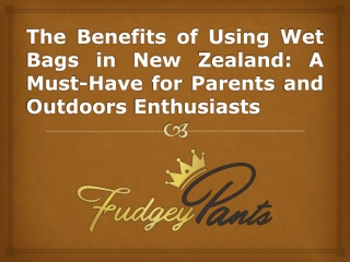 The Benefits of Using Wet Bags in New Zealand A Must-Have for Parents and Outdoors Enthusiasts