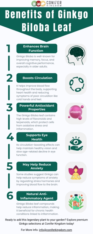 The Ancient Leaf With Modern Benefits