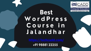 Best WordPress Course in Jalandhar (1)