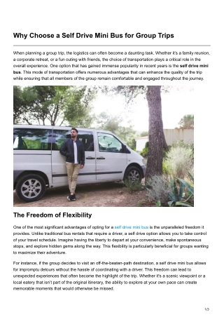 Why Choose a Self Drive Mini Bus for Group Trips