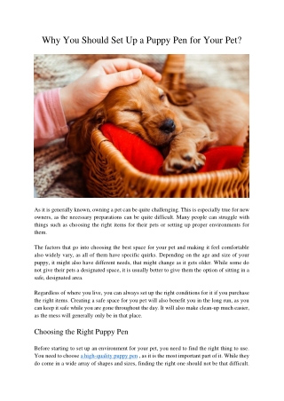 Why You Should Set Up a Puppy Pen for Your Pet?