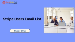 Stripe Users Email List
