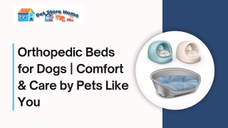 Orthopedic Beds for Dogs  Comfort & Care by Pets Like You