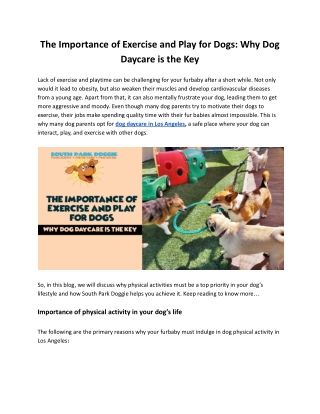 The Importance of Exercise and Play for Dogs: Why Dog Daycare is the Key