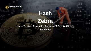Maximize Antminer Reach with Hash Zebra’s Web3 Marketing Platform