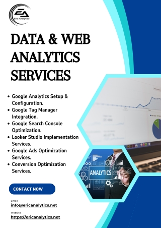 Maximize Your ROI with Web & Data Analytics Service